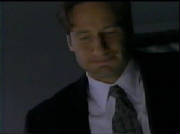 ph81.jpg